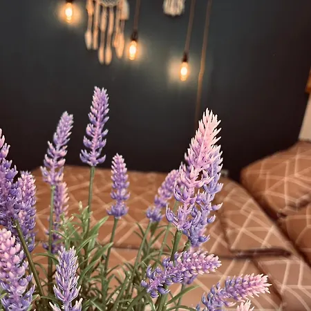 Apartamento Weinlaube Lahnstein